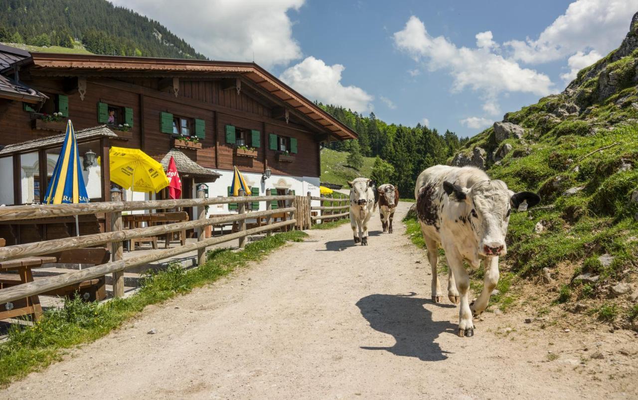 Hôtel Ritzau Alm à Ebbs Extérieur photo